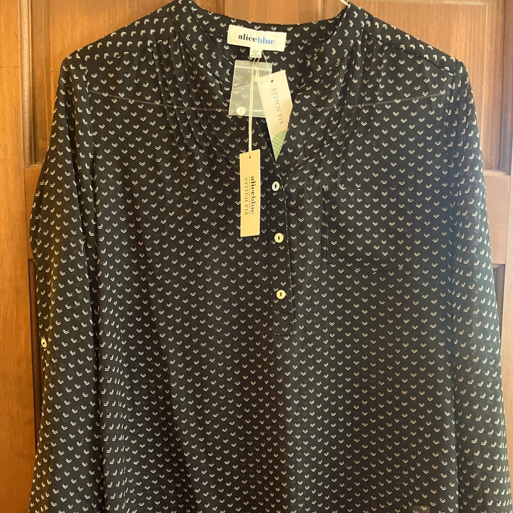 Alice Blue for Stitch Fix. Sheer black  Lucio Henley blouse